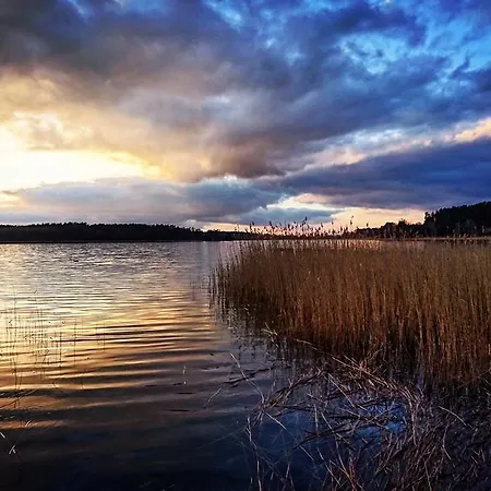 Mueritzparadies 別荘