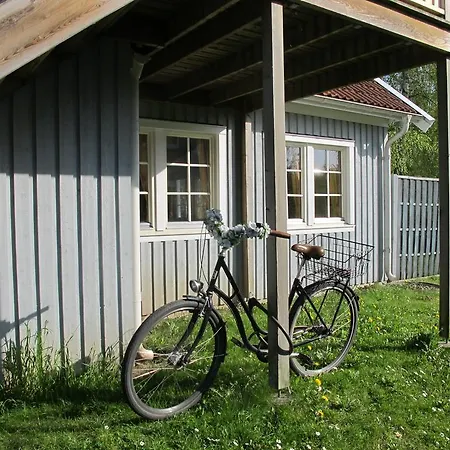 Mueritzparadies Boek