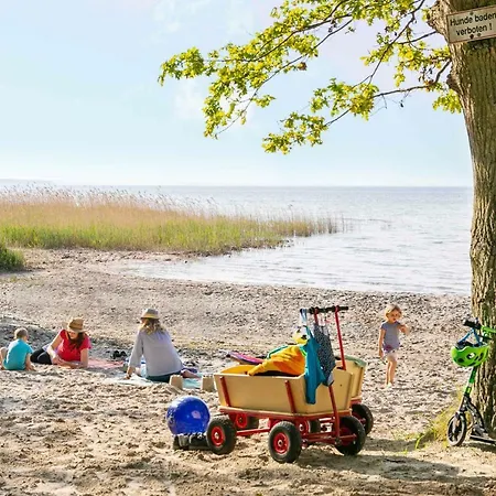 Mueritzparadies Boek